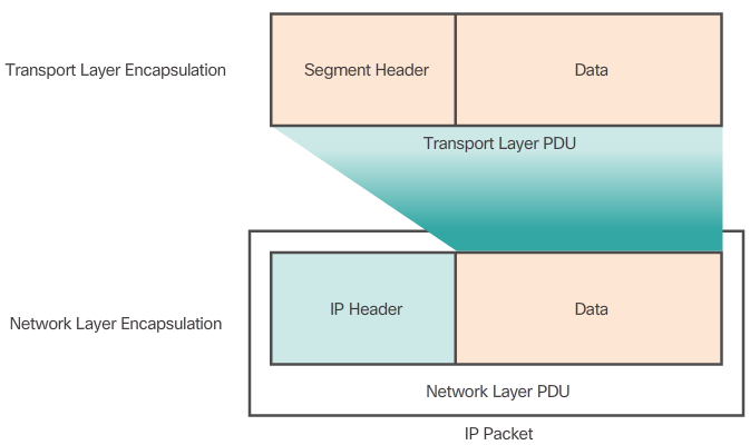 Network Layer PDU = IP Packet