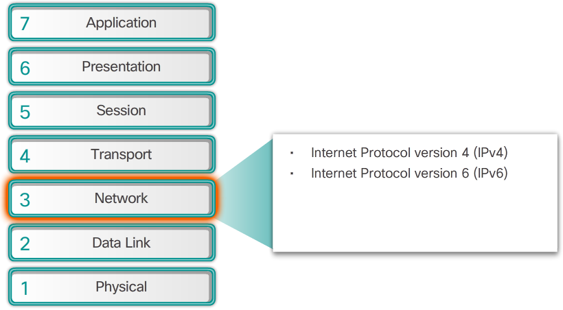 Network Layer Protocol Diagram