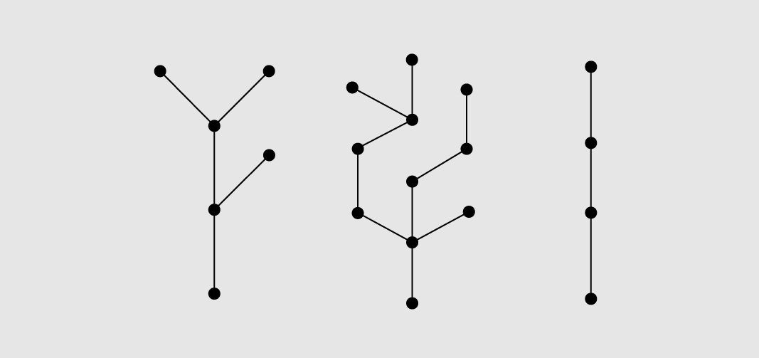 A picture of three tree graphs alongside each other.