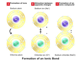 formation of an ionic bond