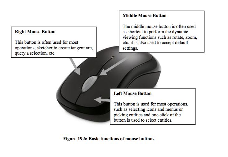 basic functions of a mouse