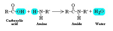 This type of polymerisation occurs by chemical reactions between two ends of a molecule with the elimination of by-products usually water.