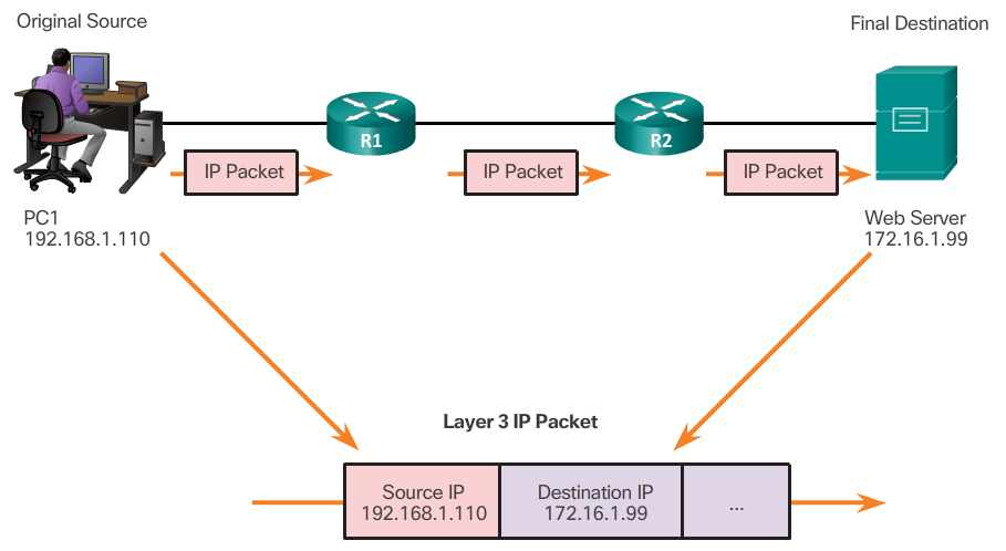 Layer 3 Network Addresses
