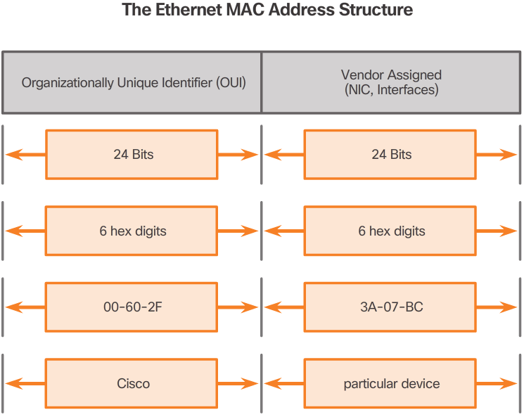 The Ethernet MAC Address Structure Diagram