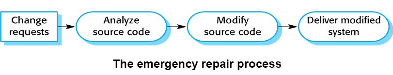 Emergency repair process diagram