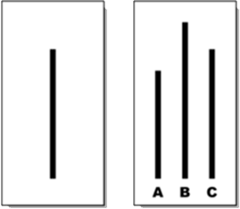 Asch Effect Diagram