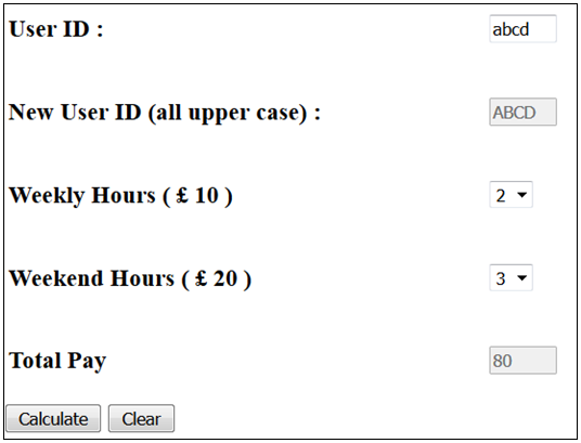 Calculate Pay Form Example 3
