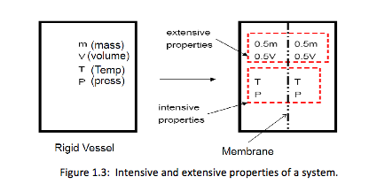 intensive and extensive properties of a system