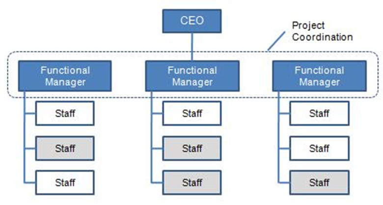 Functional Organisational Diagram