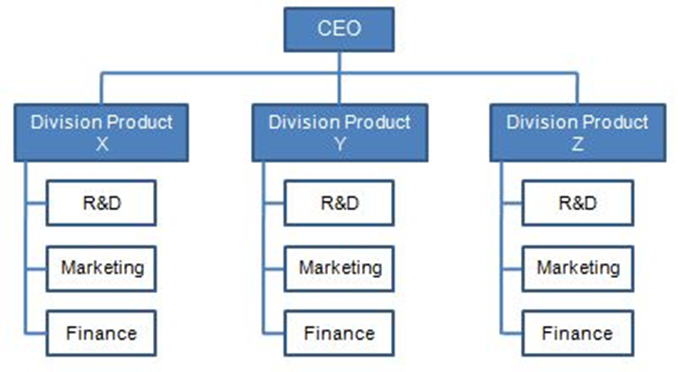 Divisional Structure Diagram