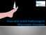 Foot and Ankle Pathology PPT for Website.pptx