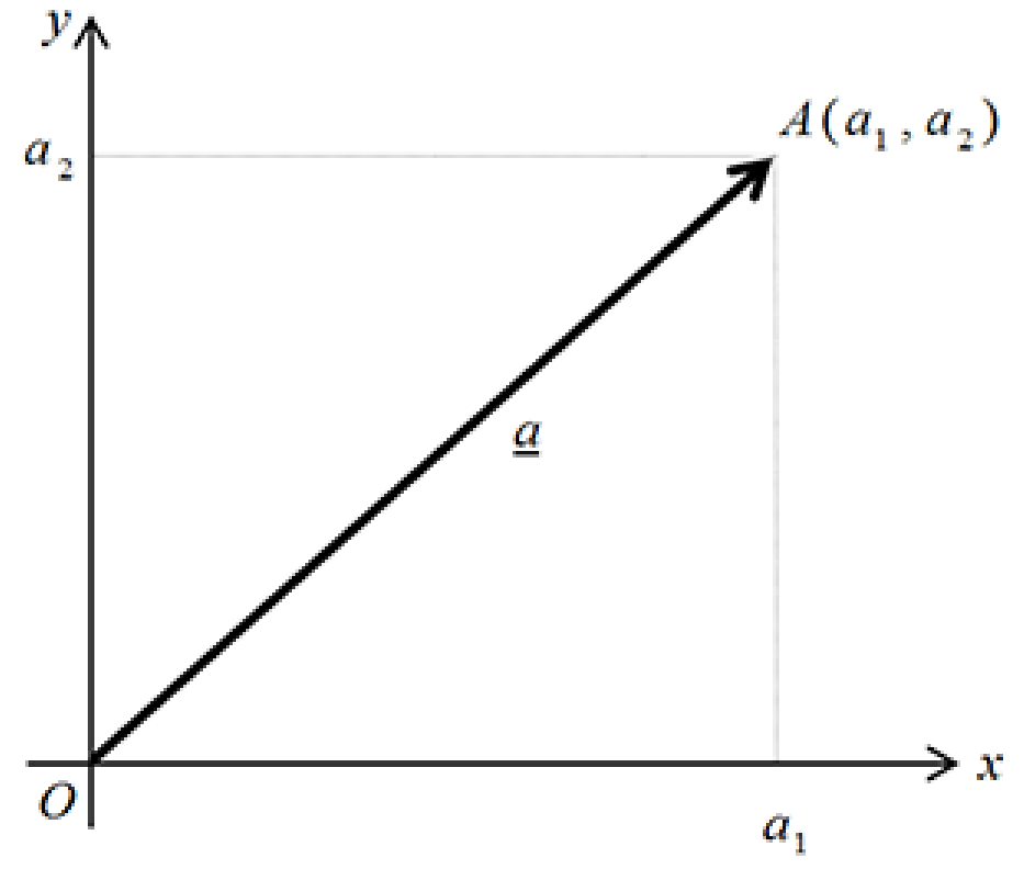 Poisition vector graph Diagram