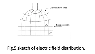 fig:5 sketch of electric field distribution.