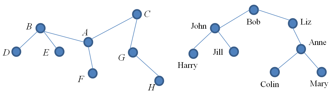 Tree Example 29 Diagram