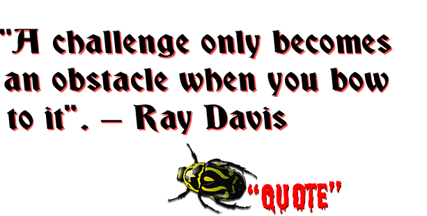 Quote - A challenge only becomes 
an obstacle when you bow 
to it. – Ray Davis