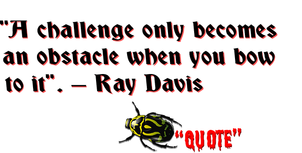 Quote - A challenge only becomes an obstacle when you bow to it. – Ray Davis