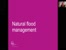 L52 Natural flood management.mp4
