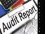 Week 11 Audit Report (1).mp4